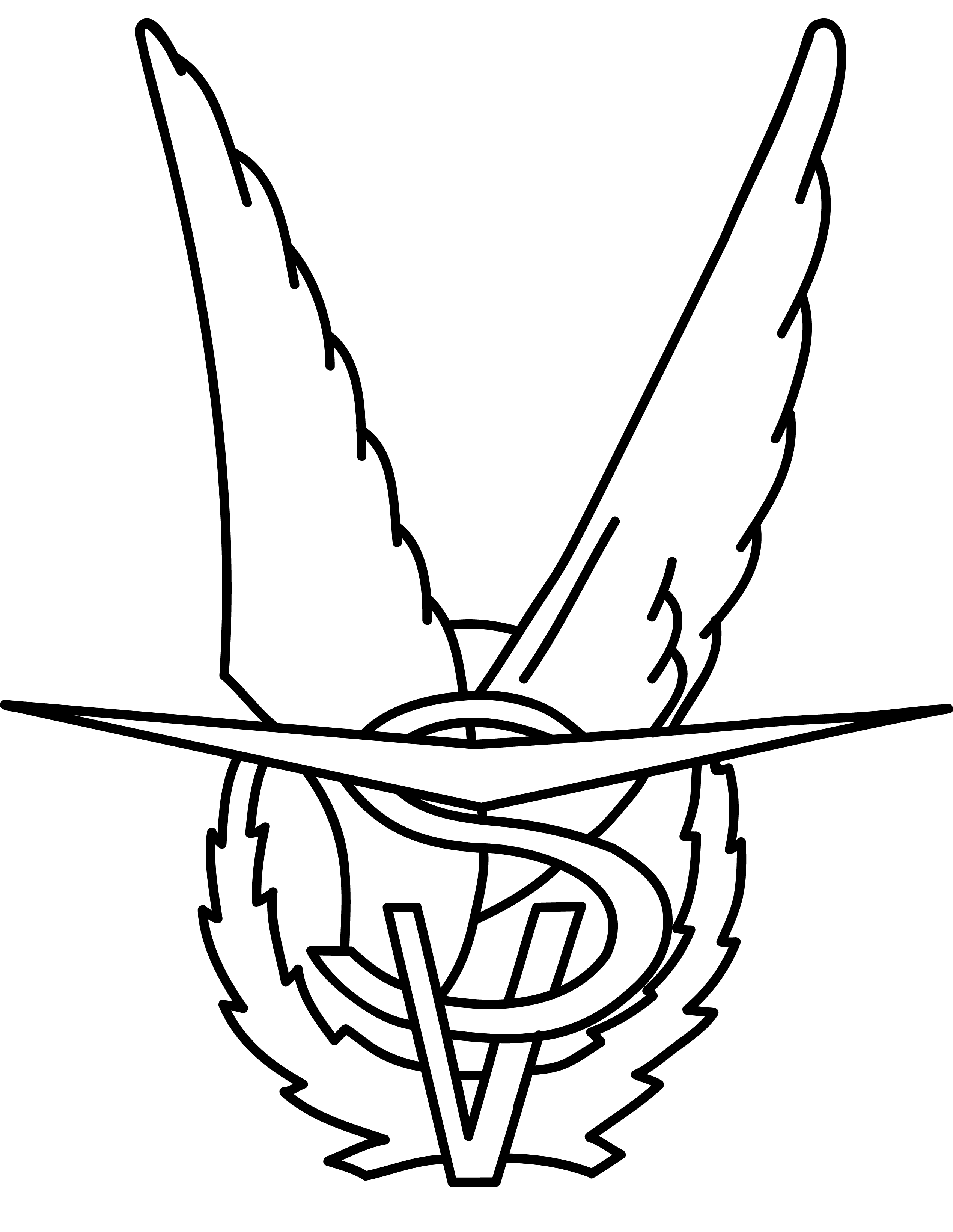 VSV Logo